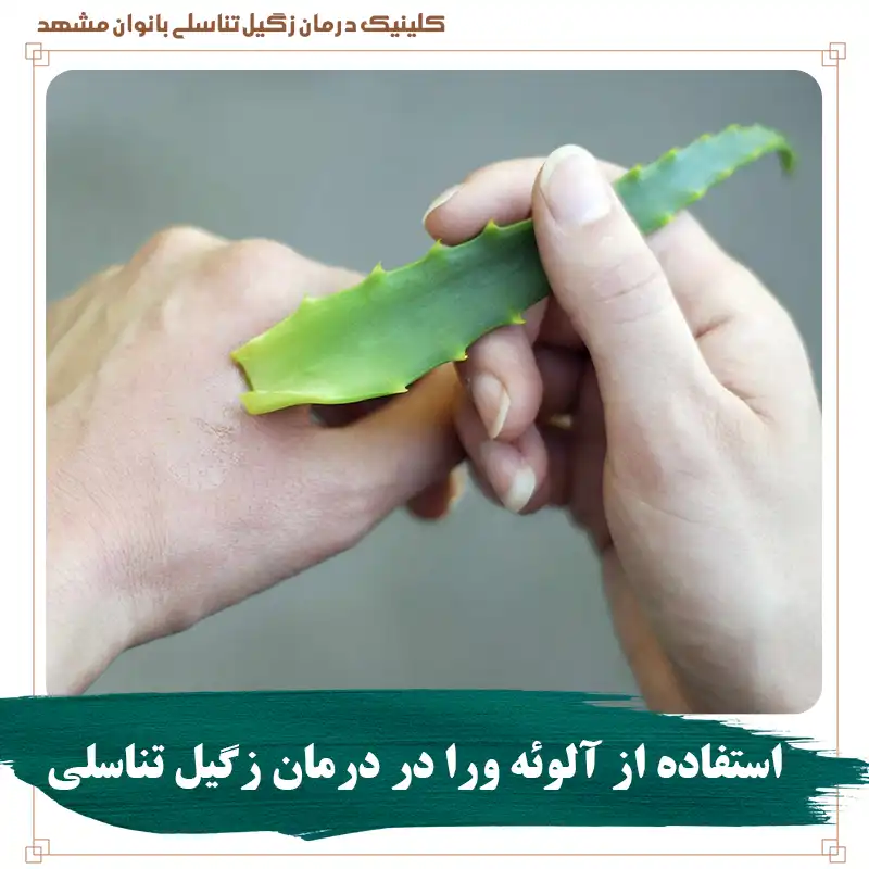 آلوئه ورا در درمان زگیل تناسلی