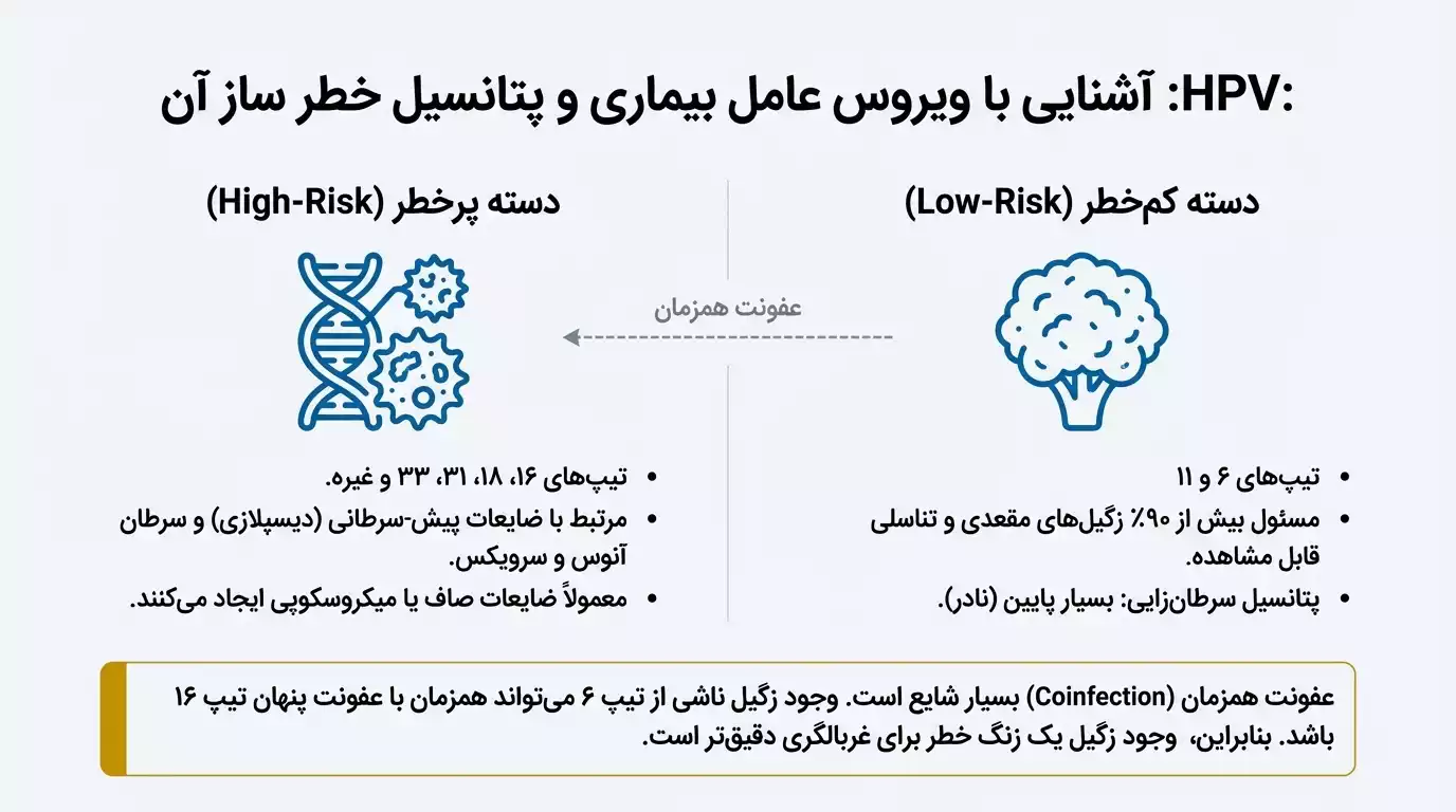 آشنایی با ویروس عامل زگیل مقعدی