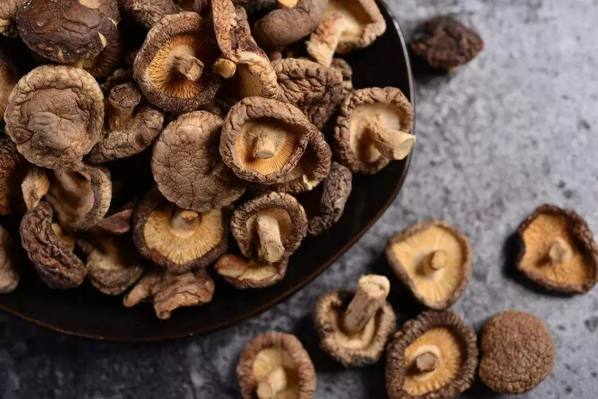 قارچ شیتاکه در درمان زگیل تناسلی